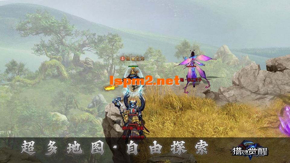 dt20.webp