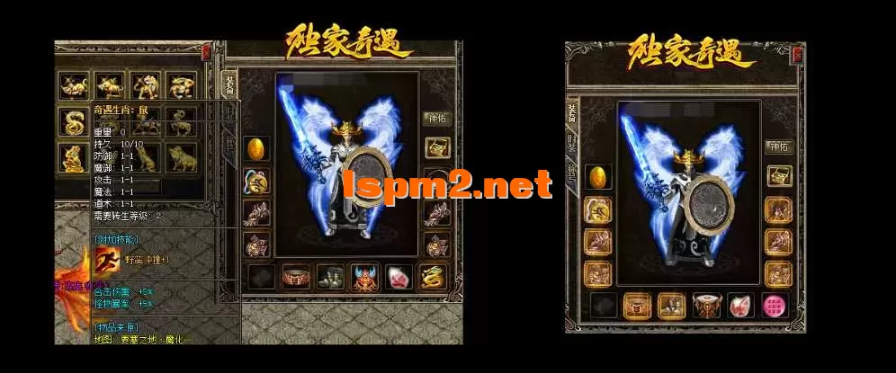 5.webp