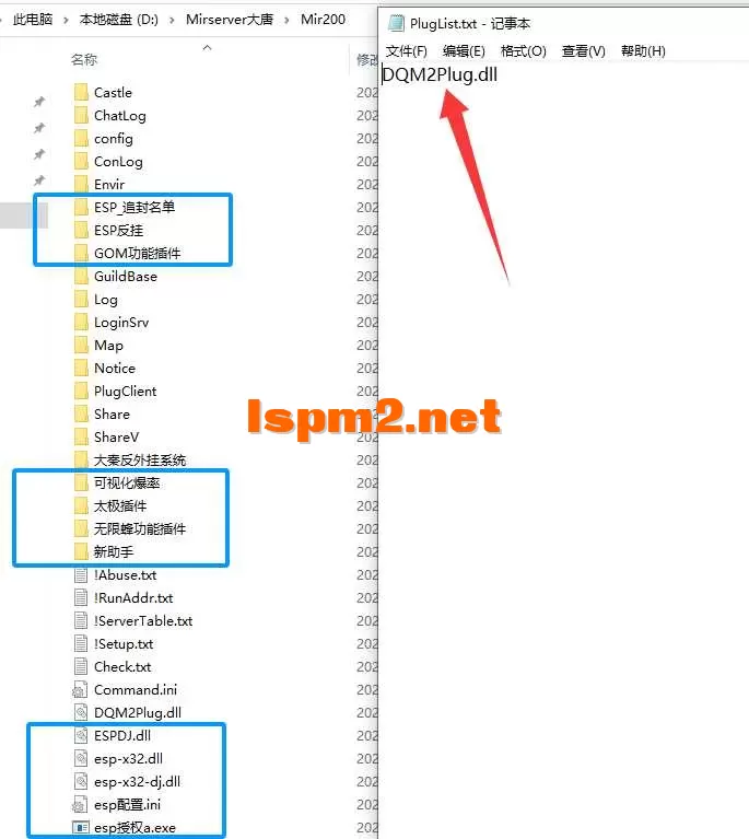 5.webp