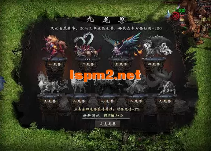 6.webp