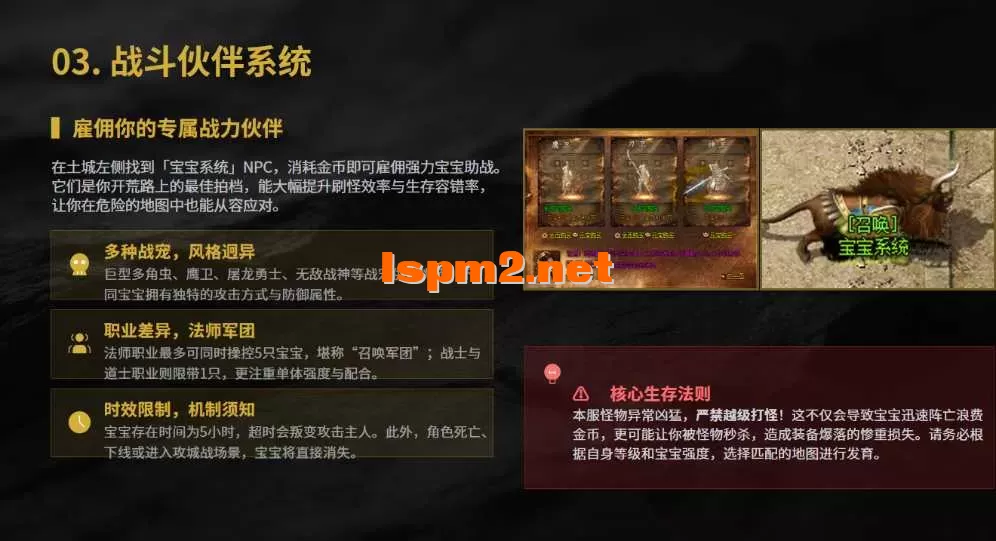 6.webp