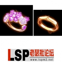 几款特殊的传奇戒指素材