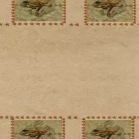 擂台10